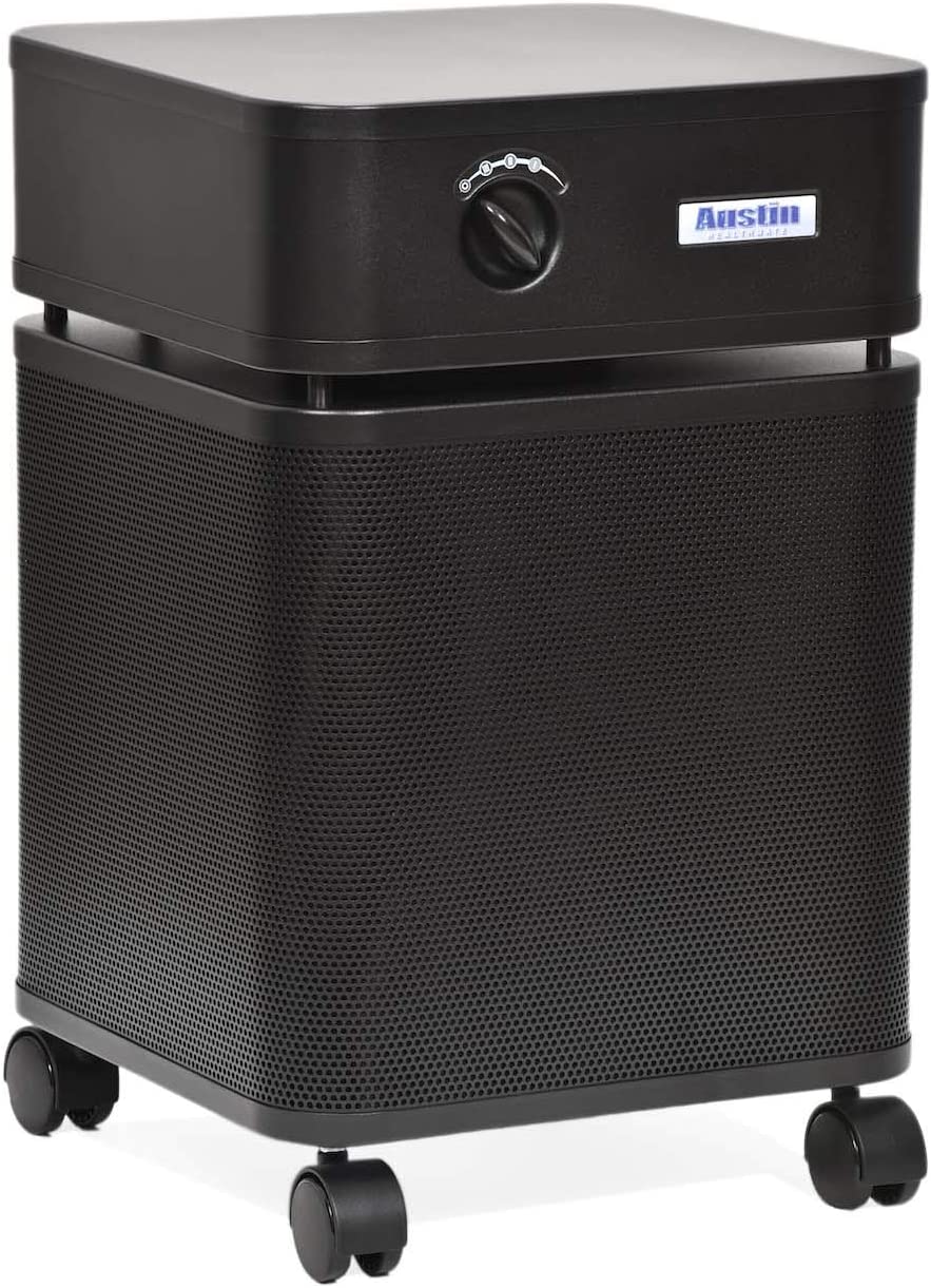 Air Cleaner